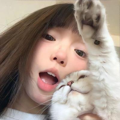 睡觉的顽皮豹